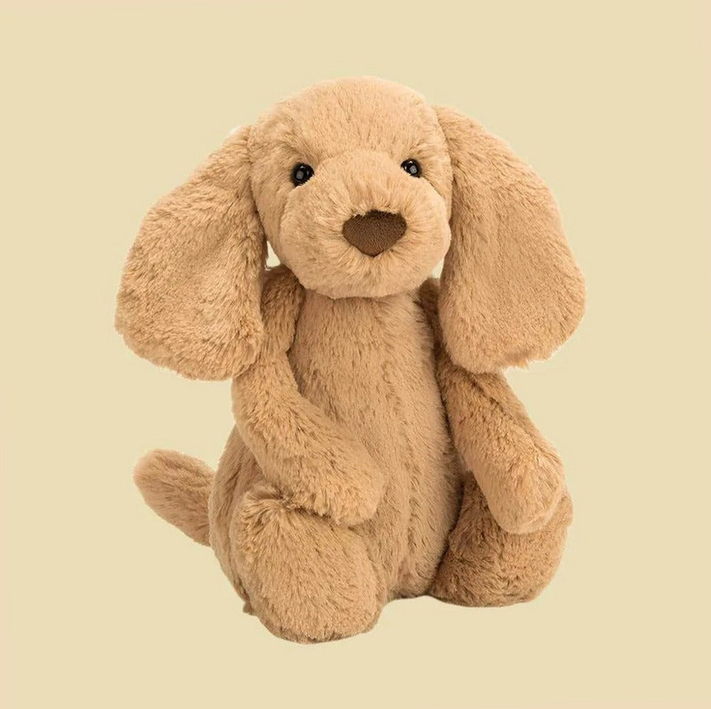 Bashful Toffee Puppy