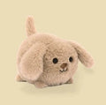 Caboodle Puppy