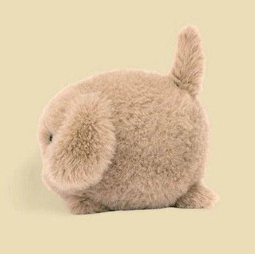 Caboodle Puppy