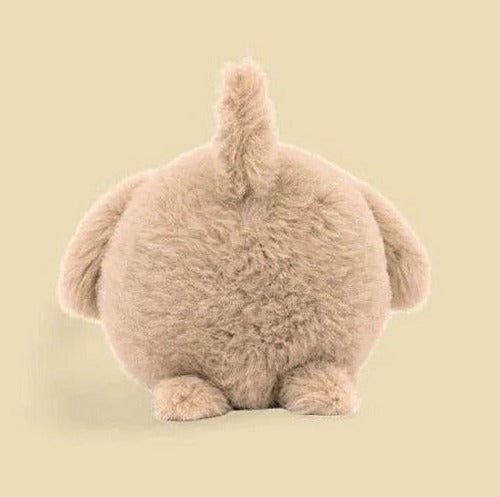 Caboodle Puppy