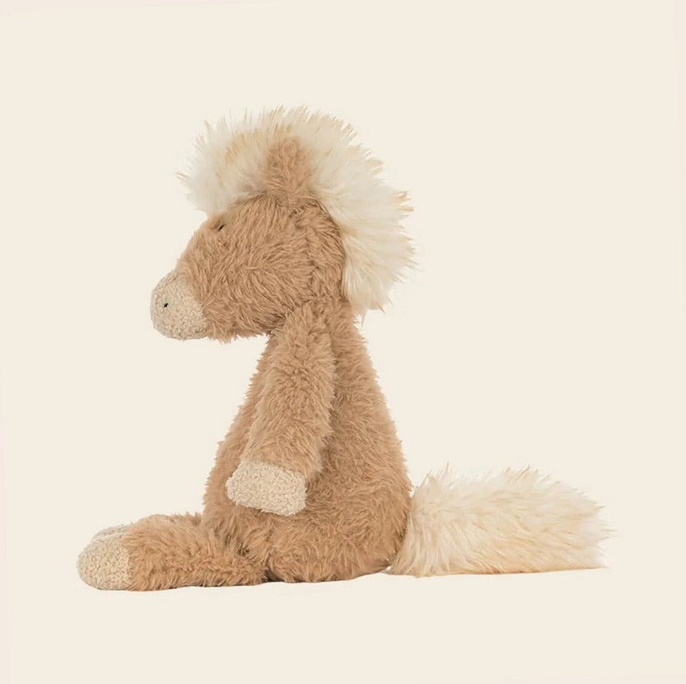 Canterneigh Pony