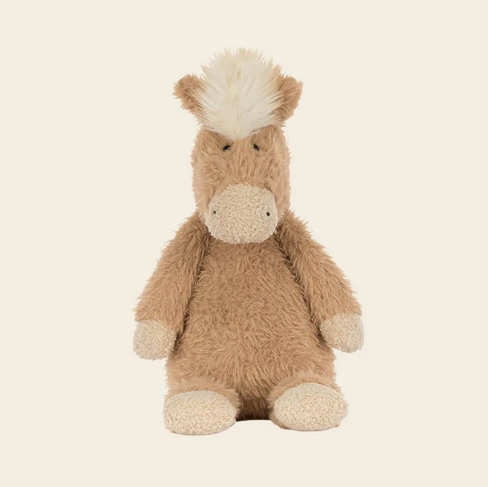 Canterneigh Pony