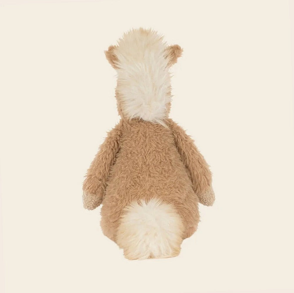 Canterneigh Pony