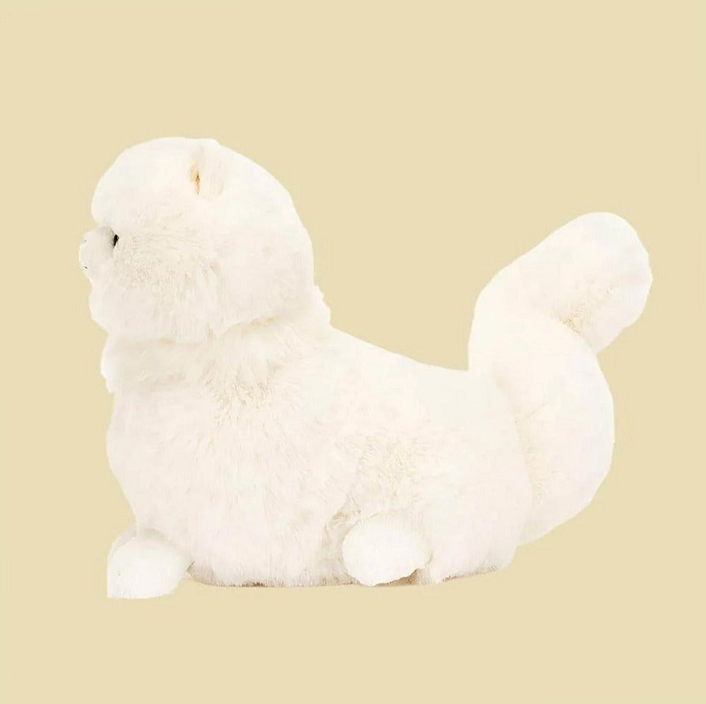 Carissa Persian Cat