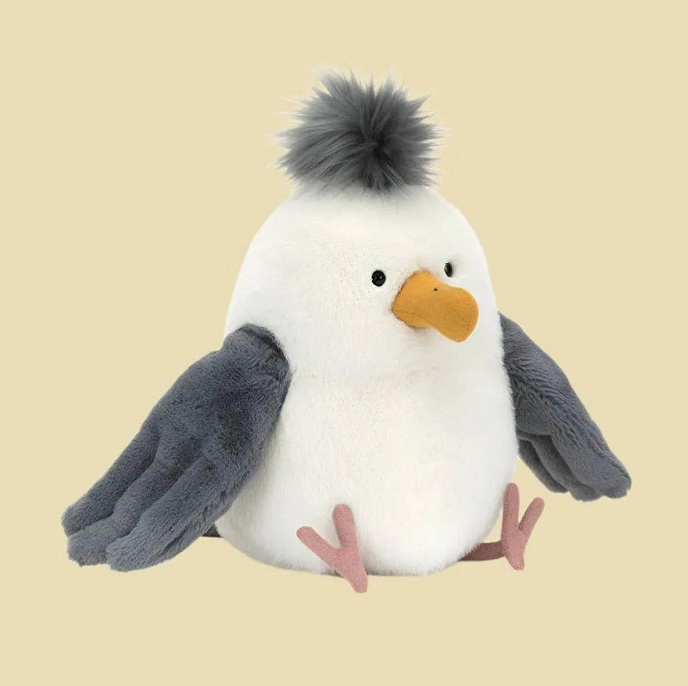 Chip Seagull