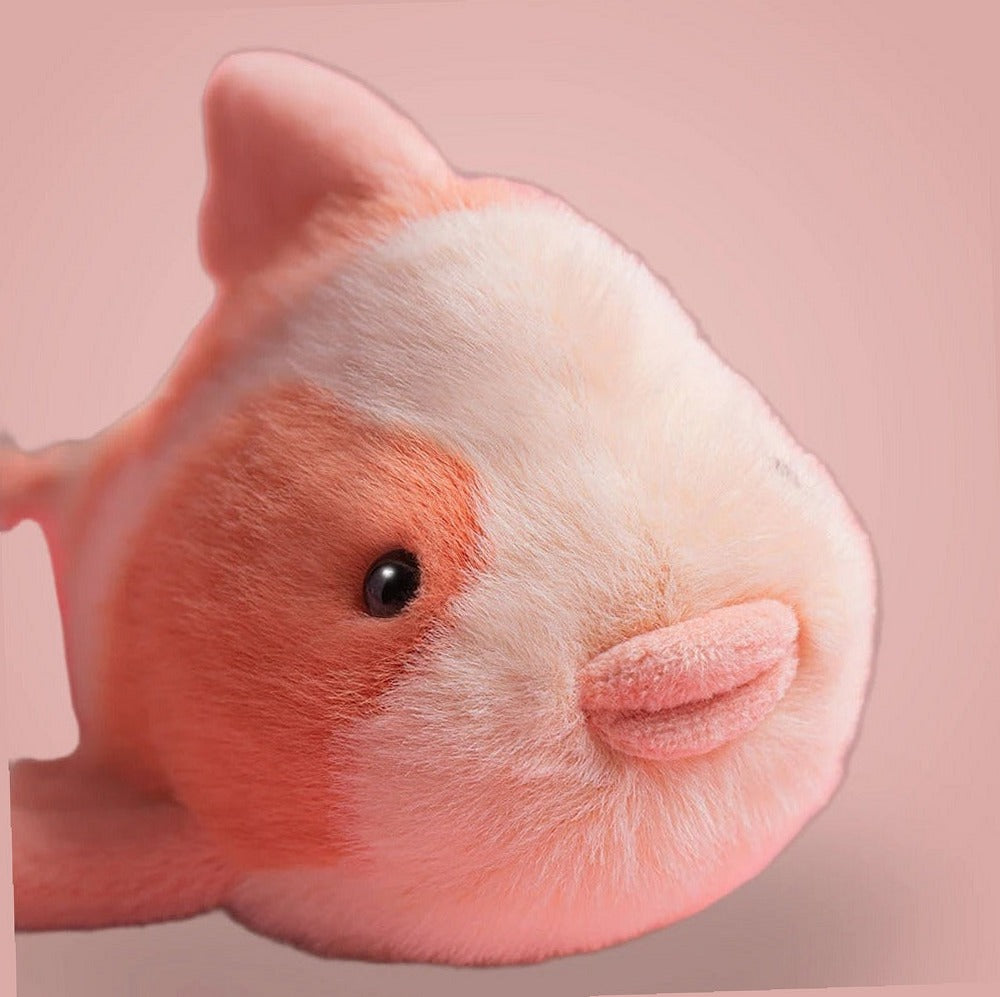 Fancy Carp – soft plush toy, view 2