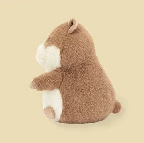 Gordy Guinea Pig
