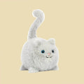 Kitten Caboodle