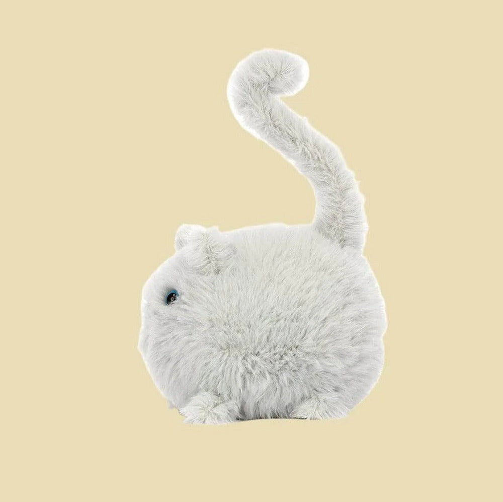 Kitten Caboodle