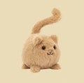 Kitten Caboodle Ginger