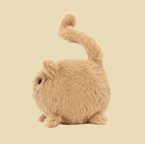 Kitten Caboodle Ginger