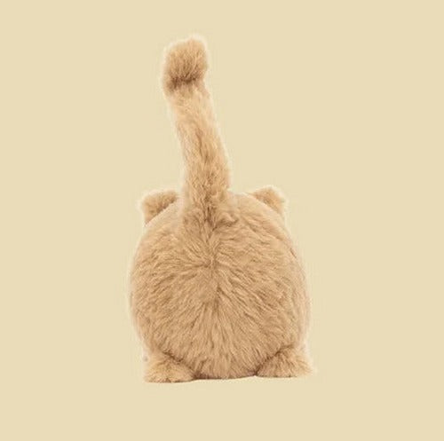 Kitten Caboodle Ginger