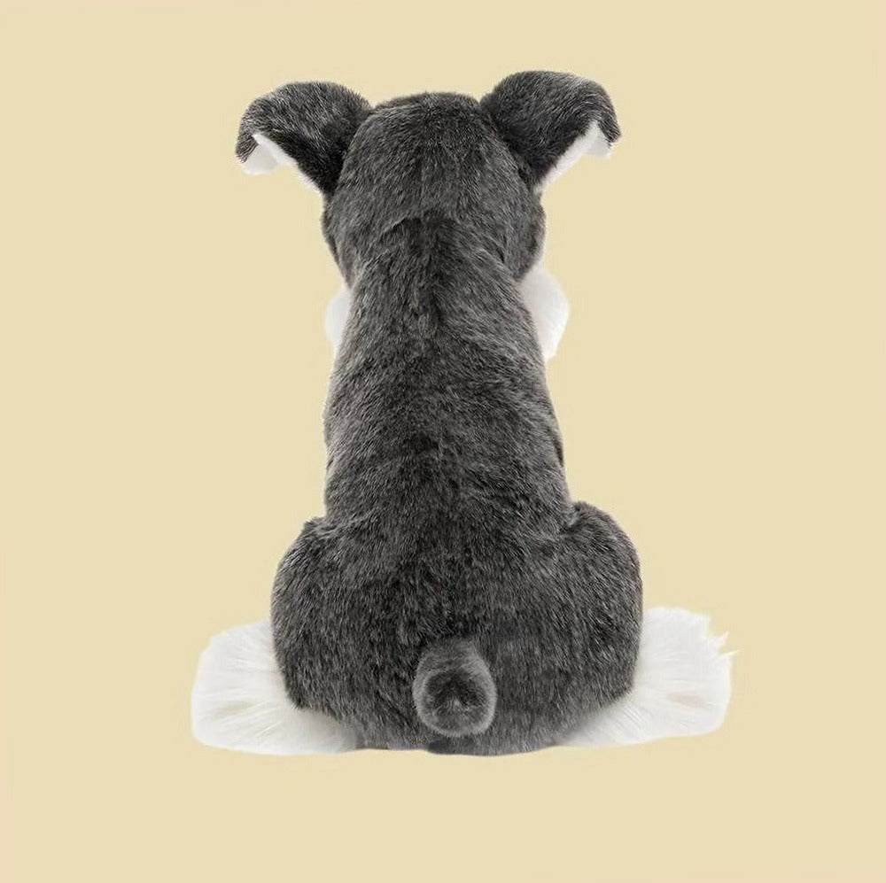Lawrence Schnauzer
