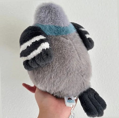 Leicester Pigeon