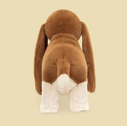 Randall Basset Hound