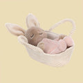 Rock - a - Bye Bunny