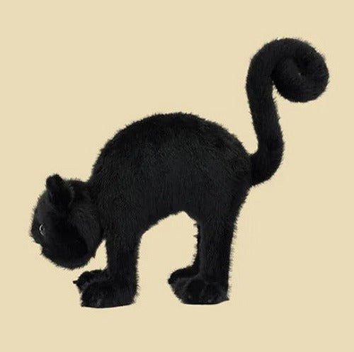 Spookipaws Cat
