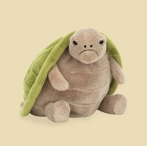 Timmy Turtle