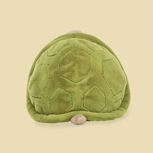 Timmy Turtle