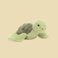 Tully Turtle
